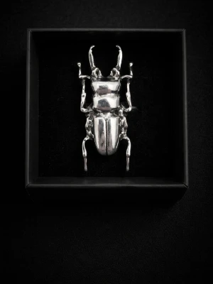 Silvrig ring i form av skalbagge - Unik brosch i form av en skalbagge, tillverkad i blankt silvrigt metallmaterial. Detaljerad design med tydliga ben och antenner, perfekt för att ge din outfit en cool och edgy touch.