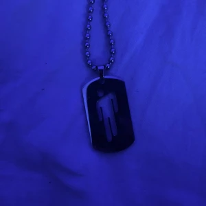 Billie Eilish ’Blohsh’ halsband - Blohsh dogtag halsband.  Pris går att diskutera 