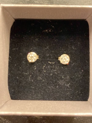 Örhängen  - Runda örhängen