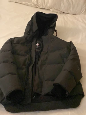 Grå pufferjacka från Canada Goos - Säljer en grå  pufferjacka från Canada Goose i storlek L. Jackan har huva, dragkedja och den klassiska loggan på ärmen. Perfekt för kalla dagar och riktigt snygg till streetwear-looken.