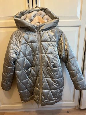 Silvrig mysig pufferjacka från Zara - Säljer en riktigt snygg quiltad pufferjacka från Zara i metallic silver. Jackan har huva, mjukt gosigt foder och dragkedja framtill med cool ringdetalj. Perfekt för kalla dagar när du vill sticka ut lite extra. Mer rak design än fotot visar. Måste ses!