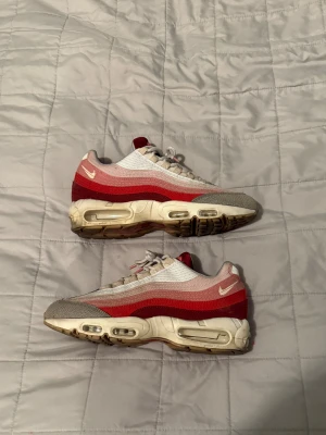 Nike air Max 95 - Otroligt sköna skor. Passar att ha på sig året runt, lite bättre under våren/sommaren dock med tanke på materialet. Mindre i storlek, passar dig som normalt sätt har 42-43