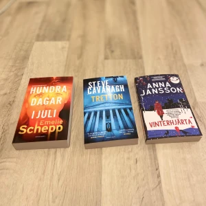 Hundra dagar i juli, Tretton, Vinterhjärta - Tre spännande böcker för dig som gillar nervkittlande berättelser! 'Hundra dagar i juli' av Emelie Schepp, 'Tretton' av Steve Cavanagh och 'Vinterhjärta' av Anna Jansson bjuder på mysterier, dramatik och kalla vintermiljöer. Perfekt för dig som vill ha något riktigt fängslande att läsa.