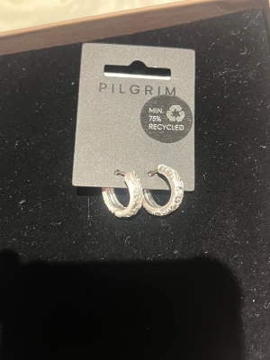 Silverfärgade örhängen från Pilgrim - Snygga silverfärgade örhängen från Pilgrim med detaljerat blommigt mönster. De är halvrunda och har en cool, lite chunky design som verkligen sticker ut. Perfekta för dig som gillar att addera något extra till din look. Minst 75% återvunnet material. Dessa har även inte använts
