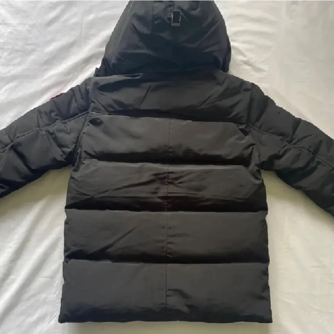  Canada Goosee Wyndham parka  - 1