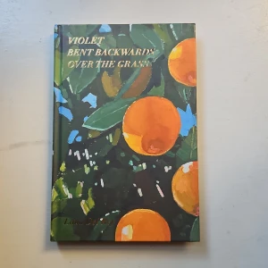 Violet Bent Backwards Over the Grass - Bok av Lana Del Rey med poesi. Nypris runt 216kr