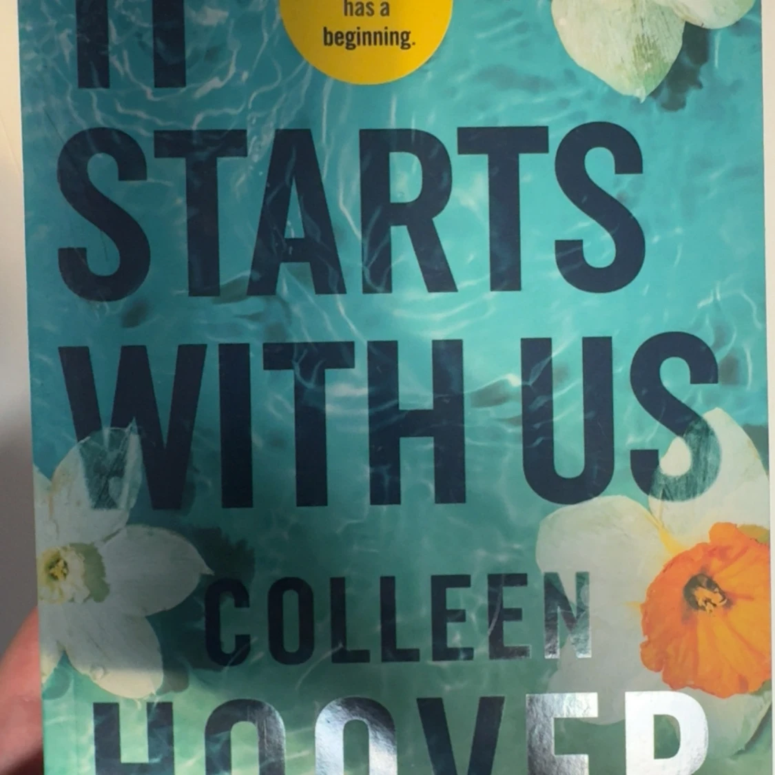 It Ends With Us & It Starts With Us - 2