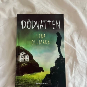 Dödvatten - En kuslig berättelse om vänskap, sorg och skräck i skärgården. Perfekt för dig som gillar spänning, mystik och kalla kårar. Följ Vera och Max när sommaren förvandlas till något mörkt och oförklarligt. Passar unga vuxna som vill ha en riktigt nervkittlande läsupplevelse.