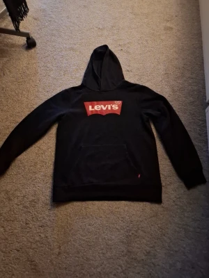 En vanlig hoddie från levis - En vanlig hoddie från levis, använt några gånger