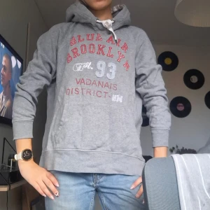 Grå hoodie Blueair Brooklyn - Grå hoodie med tryck i rött och vitt framtill, texten 'Blueair Brooklyn' och 'Vadnais District NY'. Klassisk känguruficka och vit snörning i huvan. 