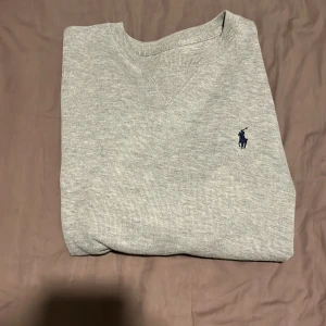 Grå sweatshirt från Ralph Lauren - En stilren grå sweatshirt från Ralph Lauren med klassisk rund hals och långärmad design. Tröjan har en liten mörkblå broderad logga på bröstet och ribbade muddar vid hals, ärmslut och nederkant. Perfekt för chill dagar och enkel att matcha med jeans.