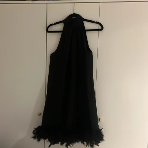 Svart klänning med fjäder detalj - En väldigt elegant klänning som passar till många tillfällen men skulle passa perfekt till nyår. Den har en fin fjäderdetalj i nerkanten och går upp snyggt vid halsen. Oanvänd med lappen kvar.