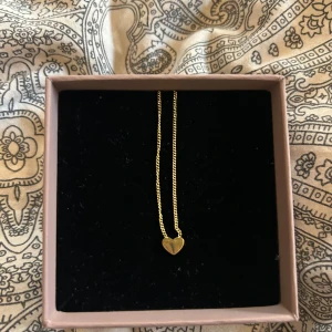 Guldigt halsband med hjärthänge - Halsband från Edblad 