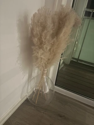 Pampasgräs i stor glasvas - Säljer ett dekorativt pampasgräs i en stor, rund glasvas. Pampasgräset är beige och fluffigt, vilket ger en mysig och trendig känsla till rummet. Vasen är genomskinlig och har en enkel, stilren form som passar perfekt som inredningsdetalj.