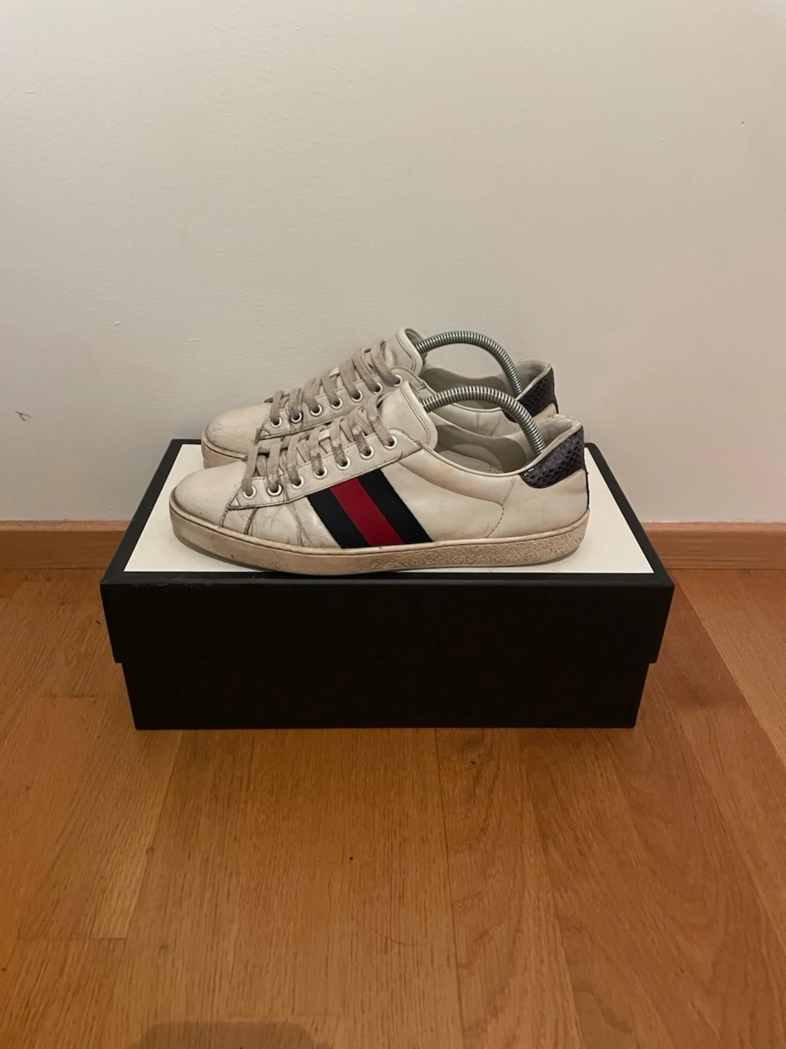 Gucci Ace