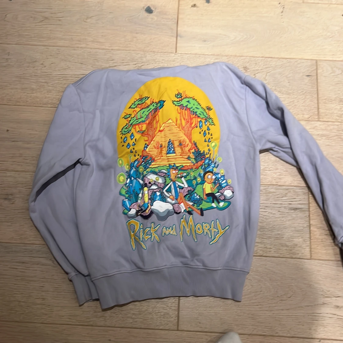 Rick and Morty hoodie från Pull&Bear XS - 1