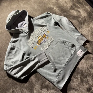 Vintage America Today Hoodie - Säljer denna tvärfeta vintage hoodien från America Today i storlek M. Den är i tungt och tjockt material därav en väldigt premium kvalitet. Skriv för mer info! Tar emot bytesförslag!