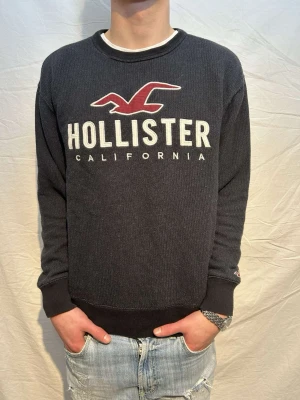  Hollister sweatshirt - En fet svart/grå vintage sweatshirt med ett snyggt tryck. Märke:Hollister. Size S. Skick 9/10. Modellen är 176cm och väger 64kg.