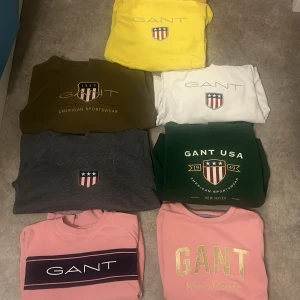 Gant hoodies + T-shirt  - Gant hoodies + T-shirt i väldigt bra skick, vid önskan om fler bilder kontakta mig, storlek s. 200 kr styck men vid köp av flera blir det 150 kr styck