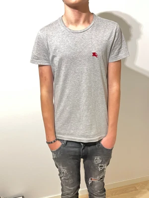 Burberry T-shirt  - Tja säljer denna snygga Burberry t-shirt | Storlek S och modellen är cirka 183| Skriv gärna om du har några frågor eller om du är intresserad |