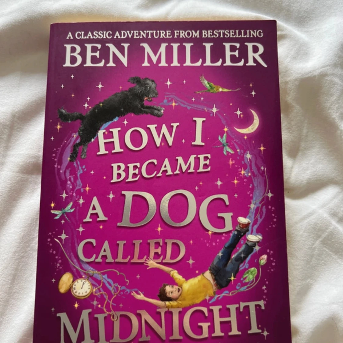 How I Became a Dog Called Midnight