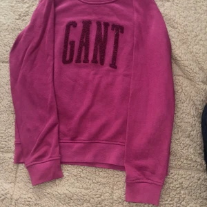 Rosa sweatshirt från GANT - Säljer en snygg rosa sweatshirt från GANT med stor, fluffig logga framtill. Tröjan har rund halsringning och långa ärmar med muddar. Perfekt för dig som gillar klassisk och sportig stil.