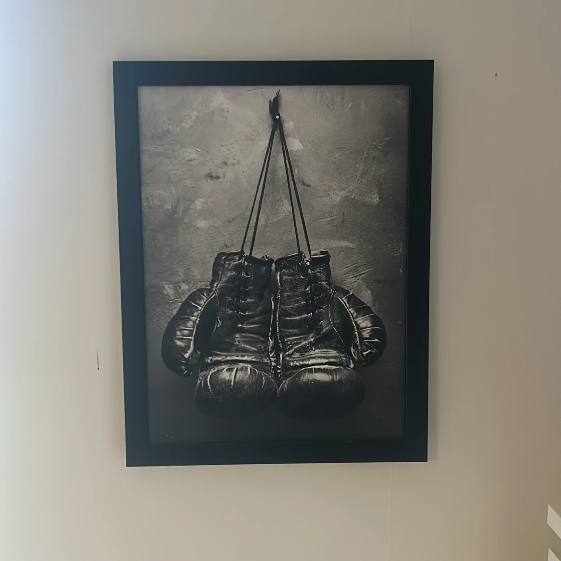 Tavla boxningshandskar  - 2