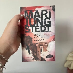 Innan molnen kommer - En spännande kriminalroman som utspelar sig i Spanien. Perfekt för dig som gillar mysterier, relationer och dramatiska vändningar. Första delen i Malagasviten – missa inte denna bladvändare om du vill ha något riktigt fängslande att läsa!