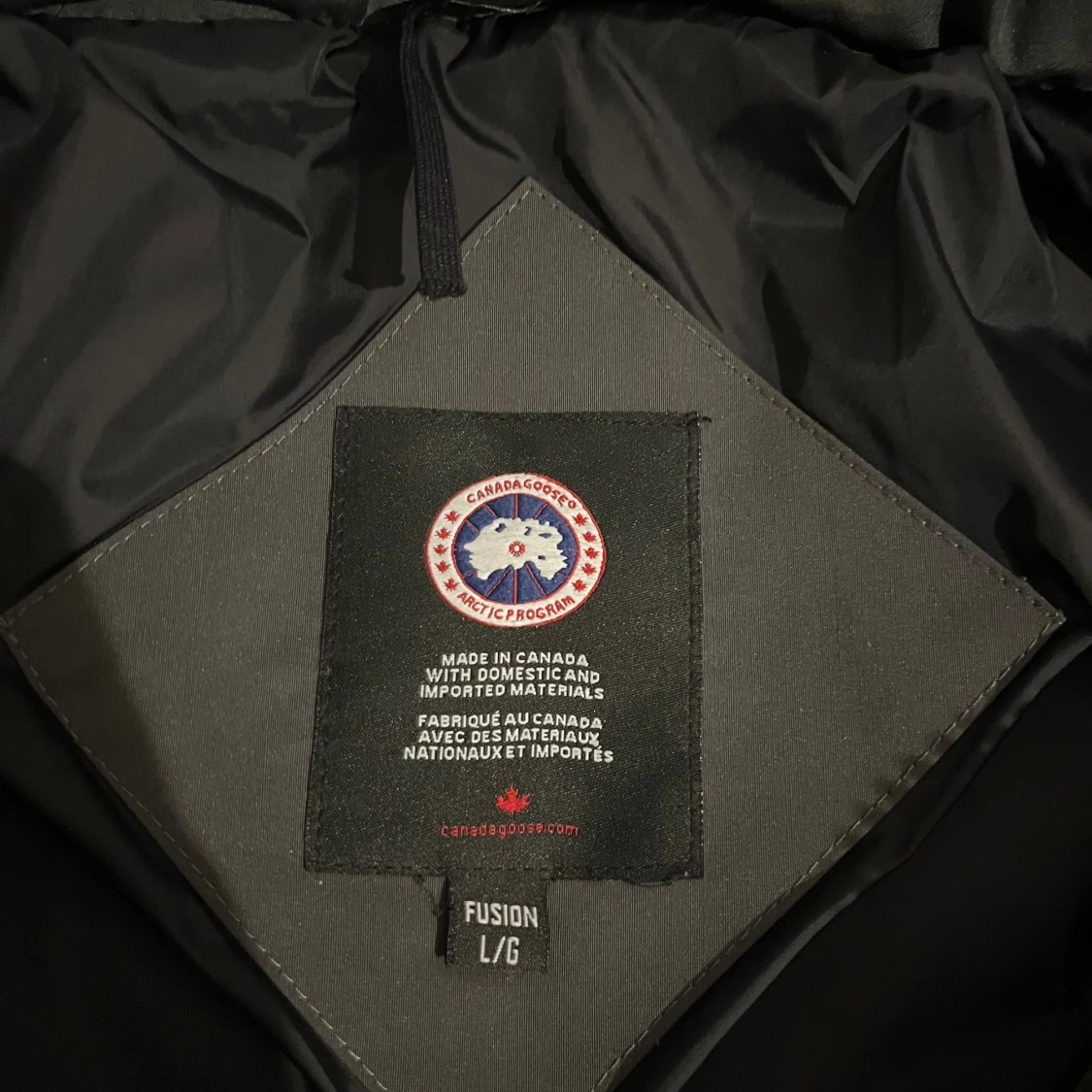 Canada goose  - 4