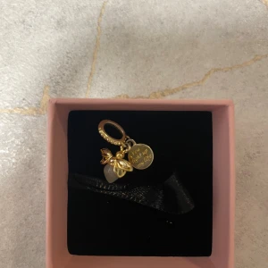 Pandora gyllene eldfluga - Supersöt berlock från Pandora i guldton med en liten bi-detalj och en rund bricka med texten 'You light up my life'. Perfekt att hänga på armband eller halsband för en personlig touch.