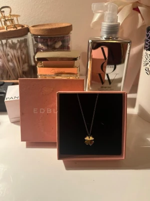 Edblad Halsband - säljer nu lucky necklace gold från edblad då den inte kommit till använding❣️nypris 349kr🩷skriv gärna för fler frågor/bilder💕pris kan diskuteras!🩵 (box medkommer ej!!!)