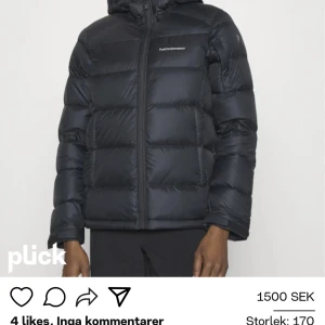 Jacka peak performance  - Tyvärr för liten för mig, den har några små hål men inte alls så synbara. Ny pris är runt 4000kr. Pris kan diskuteras 