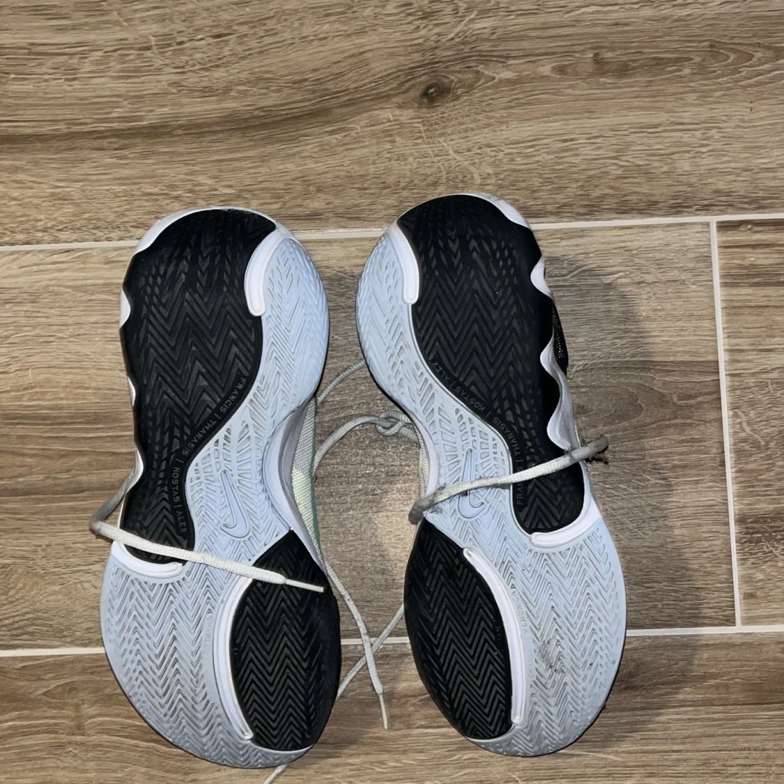 Ginnis imortality 43 - 90