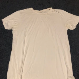 T-shirt - Vit t-shirt, knappt använd, skönt material men lite genomskinlig, inte samma som den andra (har 2)