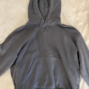 Blå grå hoodie - Trendig blå/grå hoodie från weekday! Inga defekter och är i tjockt material🐘