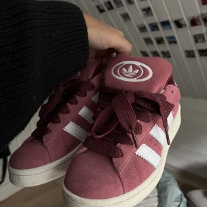 Adidas campus 00 - Helt nya adidas campus. Superbra skick då det endast använts 1 gång.  De är i storlek 36 men passar mig som vanligtvis har 37.