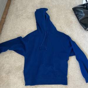 Säljer denna baic blåa hoodien ifrån Zara då jag inte andvänder den. Den är i fint skick!