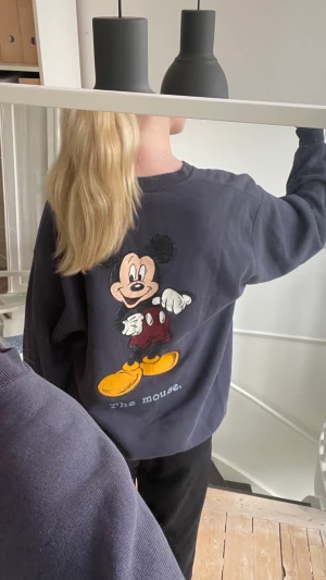 Disney sweatshirt  - Köpt på beyond retro! Ett litet hål på framsidan, skriv om du vill ha bild på det! Köpare står för frakt💕