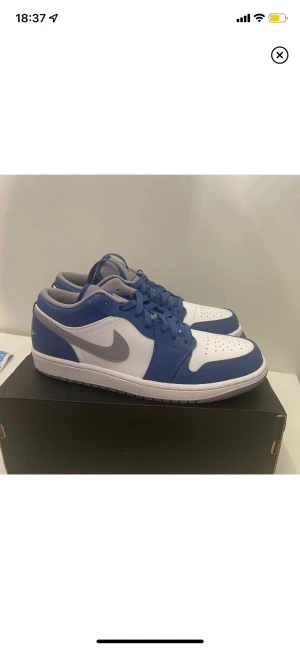 Air Jordan low  - Air Jordan low true blue cement aldrig använda köpta på ett dropp från zalando har ingen defekt alls. Dem är i storlek 42,5. Finns på sole plus för 2399kr men sälje minna för 1500 eftersom jag vill bli av med dem. Skriv om du har frågor elr vill ha mer bi