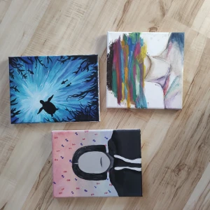 Tavlor  - Typ 75 kr st? Kanske 20-35 cm ish? 