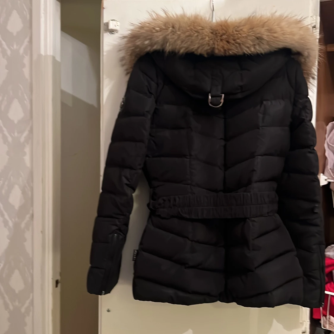 Hollies storlek 36 - 90