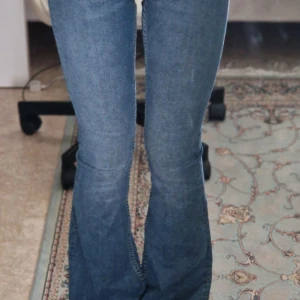 Snake Flare jeans - Säljer dessa flare jeans pga har ingen användelse av dem. 