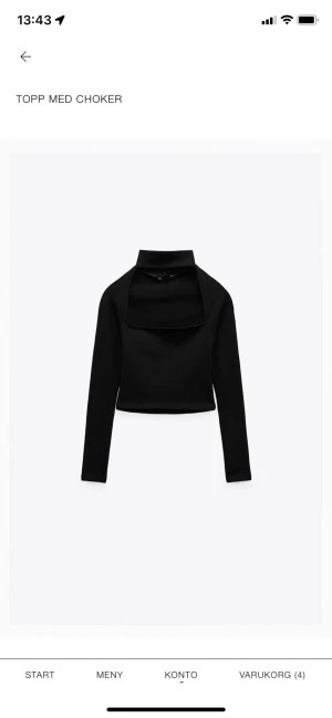 Topp med choker - Jag säljer min ursnygga topp från Zara som är väldigt trendig och skit snygg. Den sitter jätte bra på och är i storlek M men skulle säga att den passar S också 