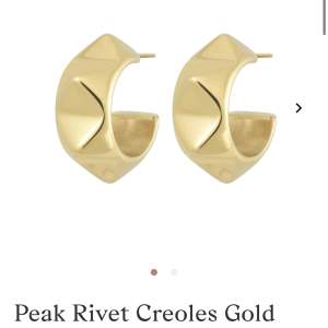 Söker dessa örhängena från Edblad! ”peak rivet creoles gold” kan betala mellan 100-300kr!!