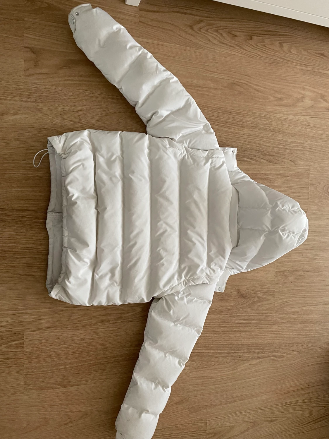 Corvidae Jacka  - 90