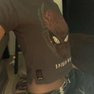 Spiderman tshirt  - Jätte söt spiderman tröja i bra skick. Fråga om du vill ha fler bilder eller om du har mer frågor