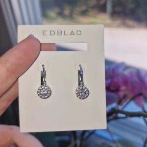 Edblad örhängen - Den lilla runda dekorationen har en stor och 11 små klara stenar fästa i blankt rostfritt stål. Från Edblad orginalpris 399kr, 15 kr frakt. Helt oanvända