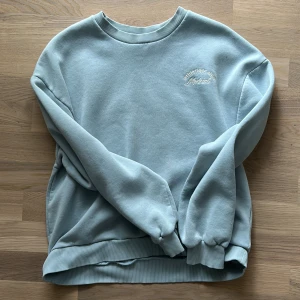 Superskön sweatshirt  - Baby blå sweatshirt från Gina