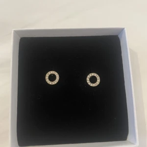 Örhängen pilgrim - Oanvända örhängen från Pilgrim🪩🌟Superfina!! Nypris: 199kr