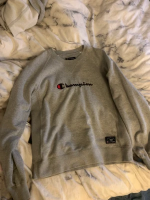 Sweatshirt  - Sweatshirt ändå använd mycket, men är i bra skick, inga fläckar eller fel. Fin grå tröja.